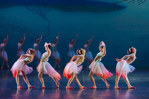 大年初一，舞劇《朱鹮》杭州站唯美鉅獻，開啟新春文藝盛宴